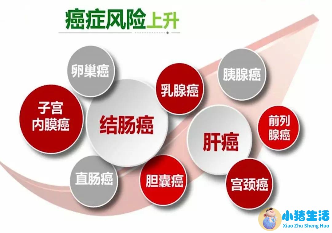 女性养生文章