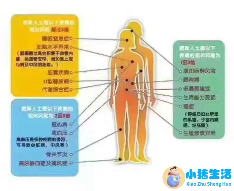 健康运动饮食减肥
