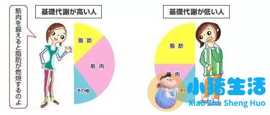健康运动饮食减肥