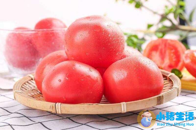 健康运动饮食减肥