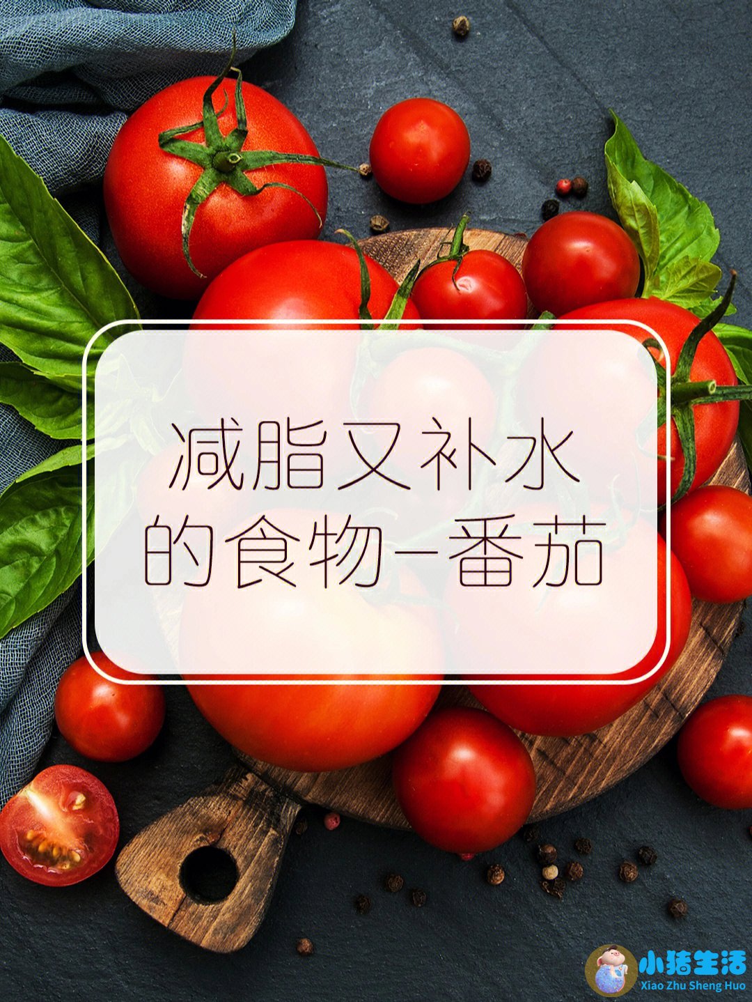健康运动饮食减肥