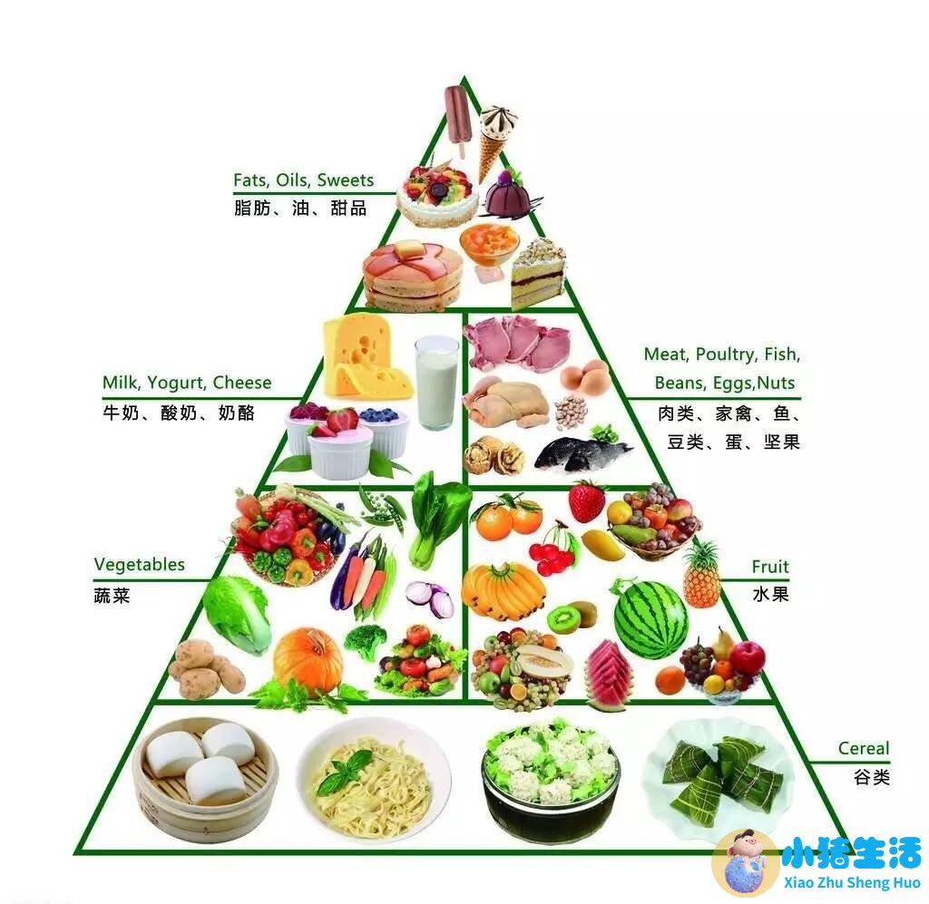 健康运动饮食减肥