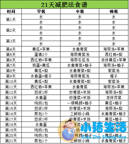健康运动饮食减肥