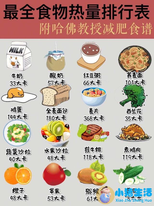 饮食减肥热量图谱