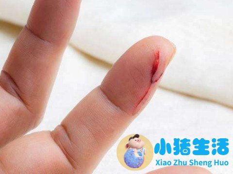 梦里梦见追求女孩
