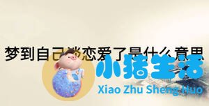 梦里梦见追求女孩