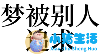 梦里梦见追求女孩