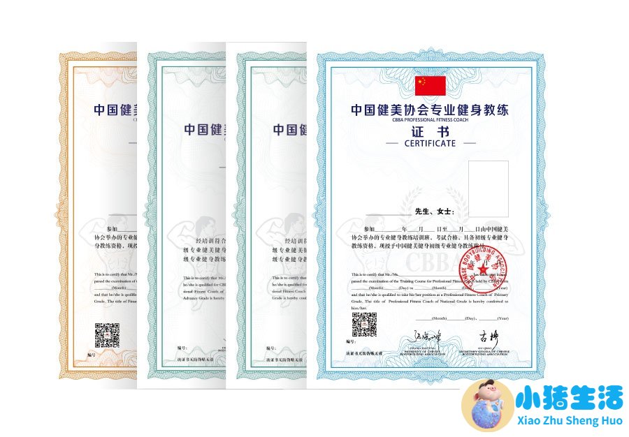 山东 好的普拉提教练培训学院 推荐pep鹏