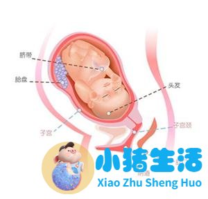 孕16周没感觉担心胎停