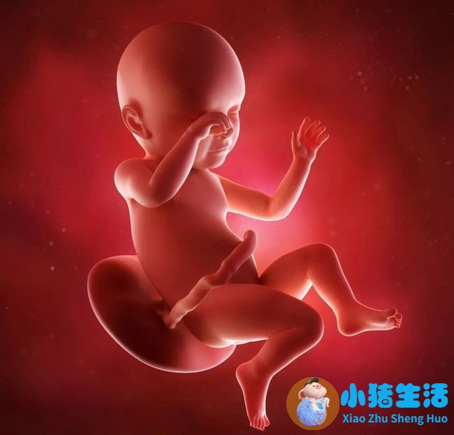 孕16周没感觉担心胎停