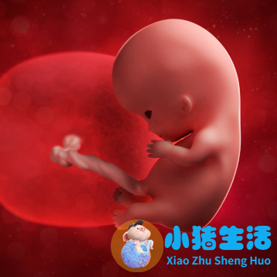 孕16周没感觉担心胎停