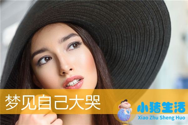 梦里梦见追求女孩