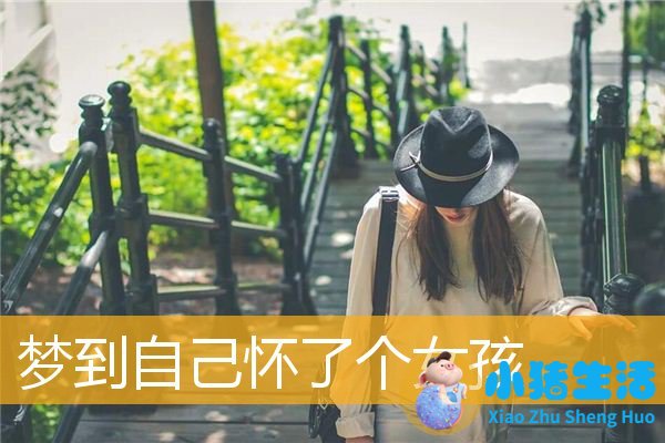 梦里梦见追求女孩