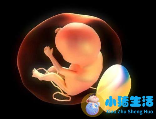孕16周没感觉担心胎停