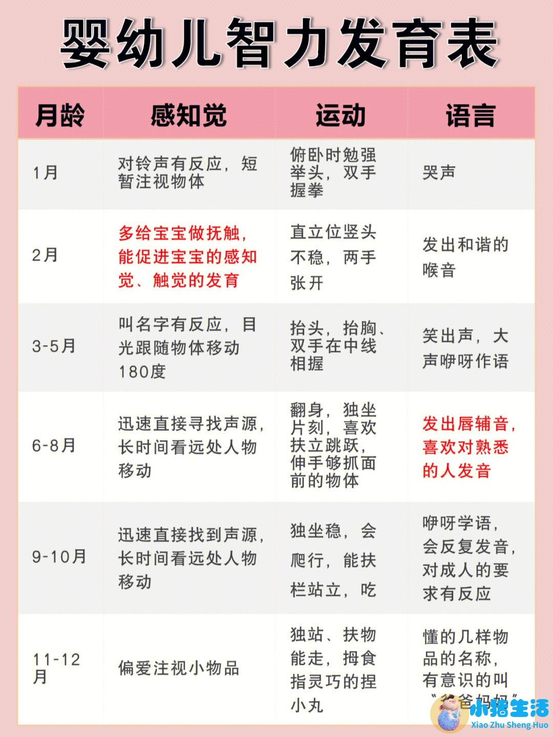 孩子的早期教育