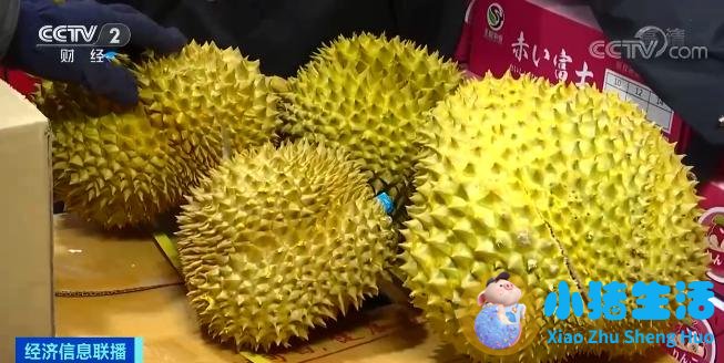 考研热降温有三个重要原因