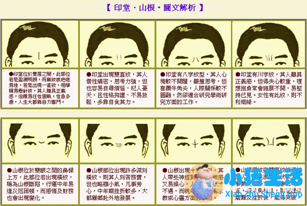 梦里梦见追求女孩