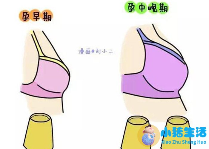 <strong>孕17周注意事项</strong>