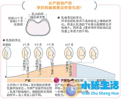 怀孕17周胎儿真实图片