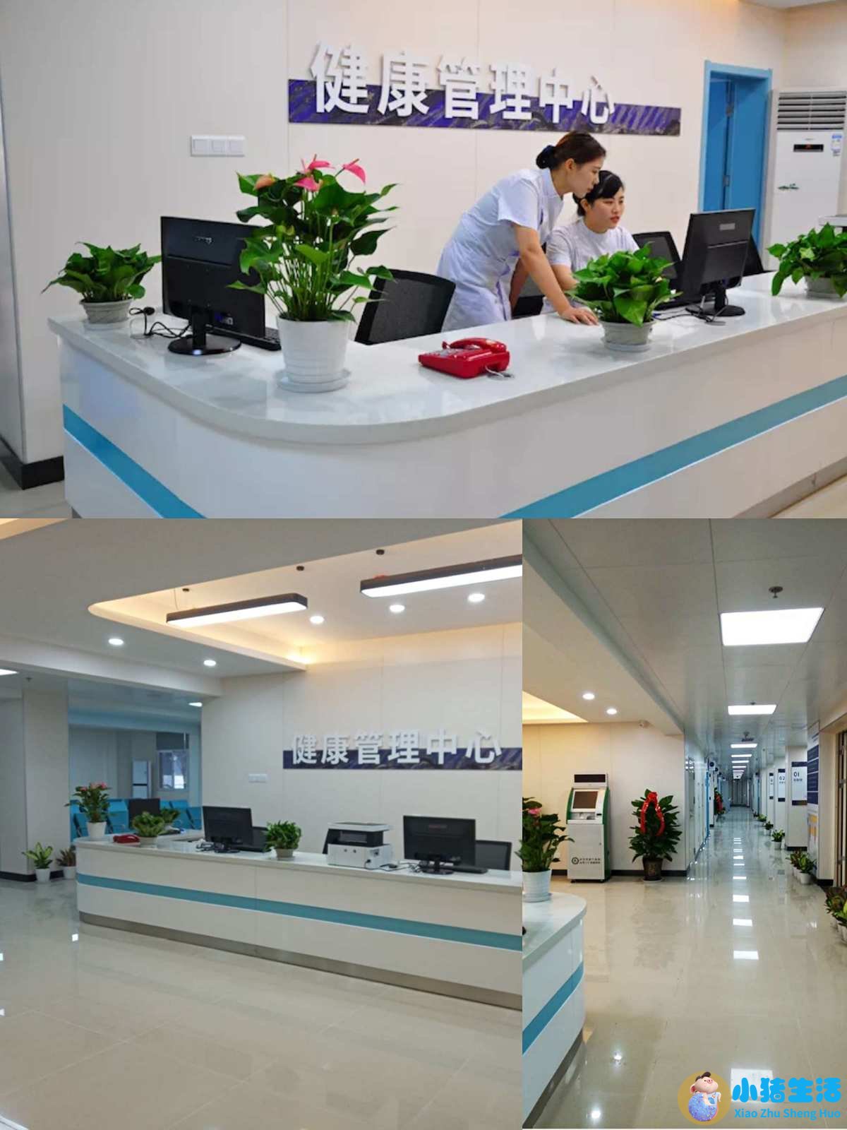 医学搞笑新闻