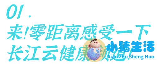 医学搞笑新闻