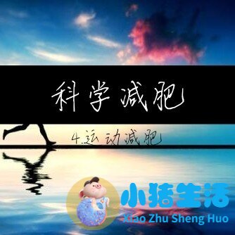 科学减肥两个月瘦20斤