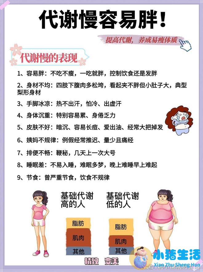 科学减肥两个月瘦20斤