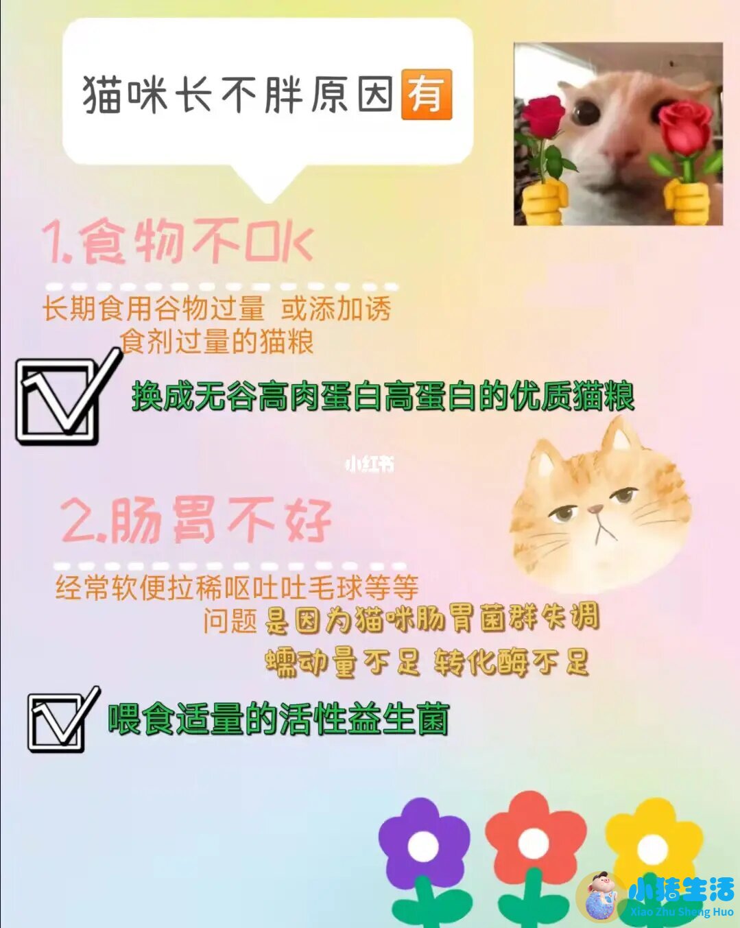 营养不吸收是什么原因