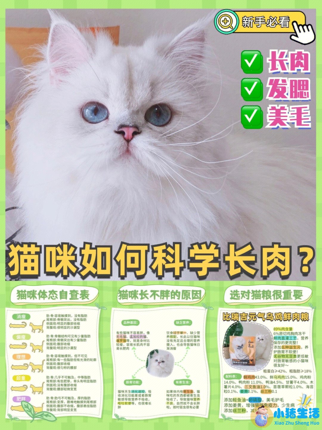 营养不吸收是什么原因