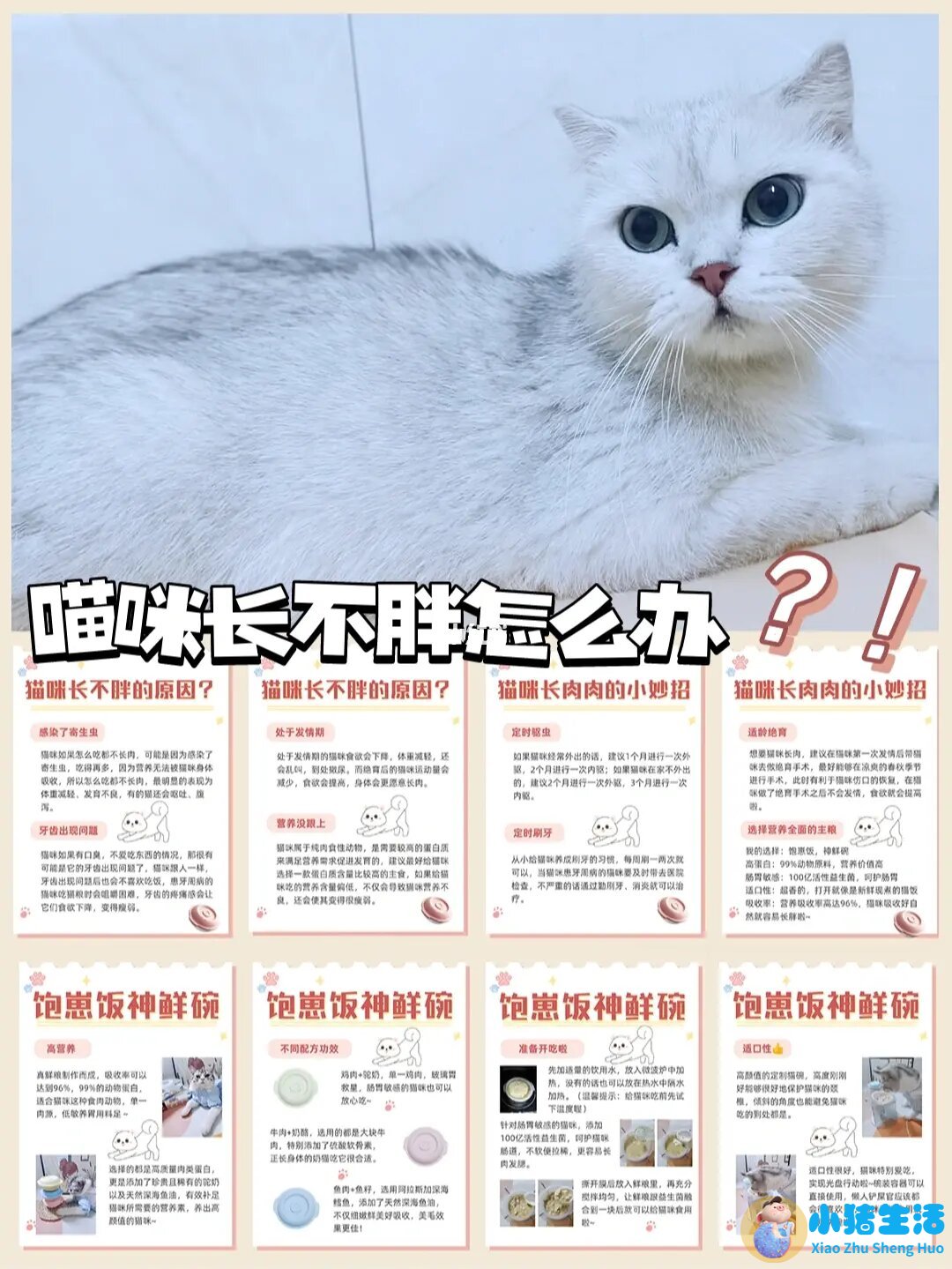 营养不吸收是什么原因