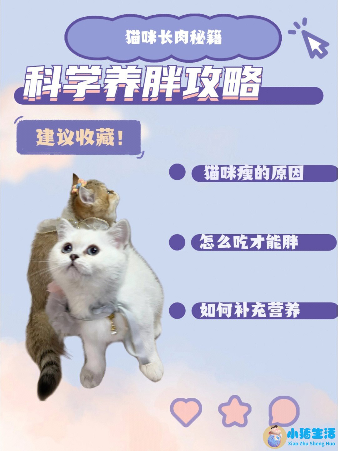 营养不吸收是什么原因