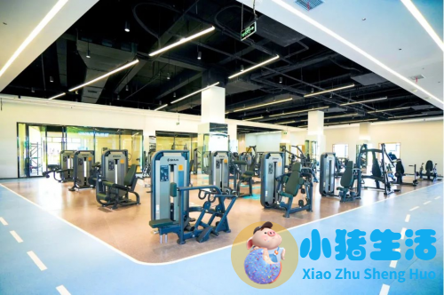 重庆健身培训学校