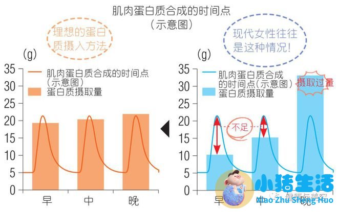 吃木瓜种对男性性功有什么好处