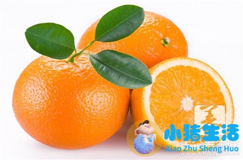 女性养生食物米