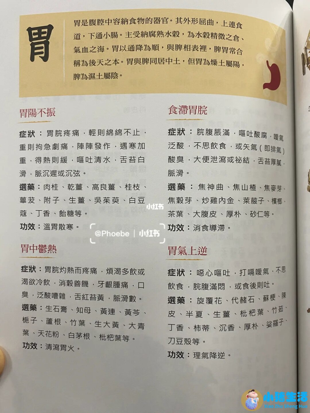 男人吃辣木籽对性功能