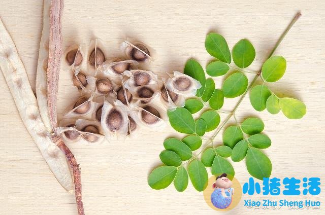 男人吃辣木籽对性功能