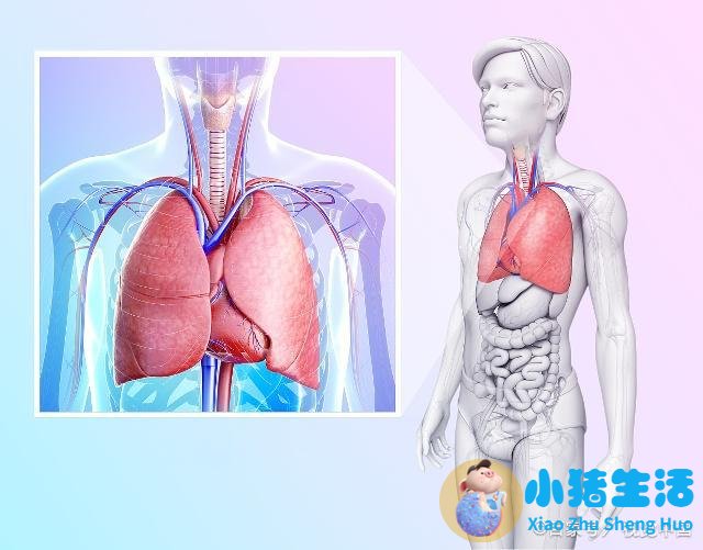 男人吃辣木籽对性功能