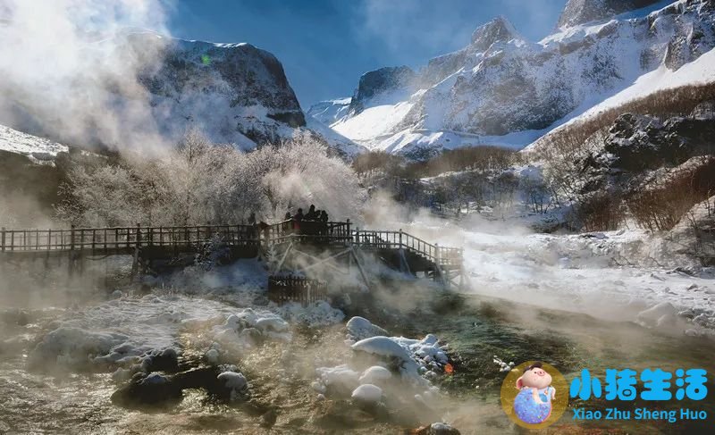 旅游卫视有多远走多远长白山温泉是哪家