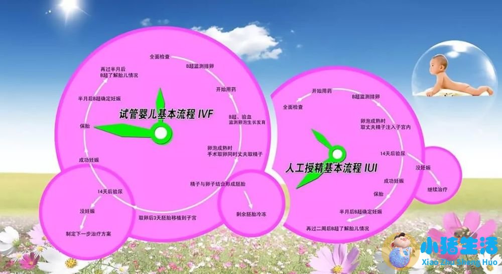 我国每年约有30万名试管婴儿诞生：走出