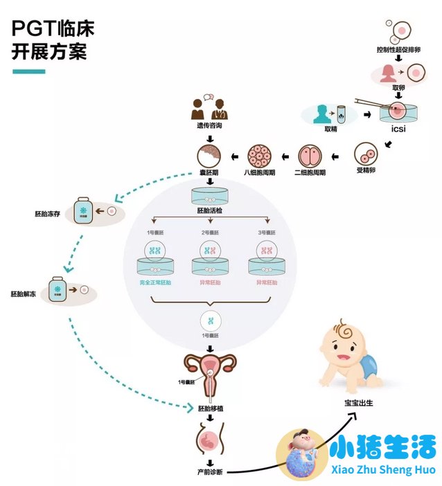 中国什么时候有试管婴儿技术
