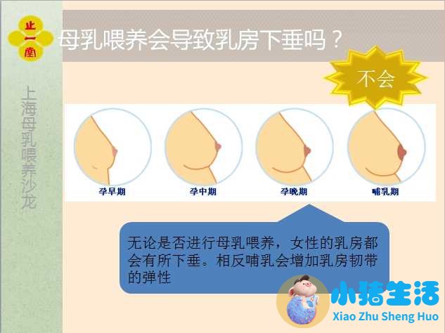 母乳不足的原因分析