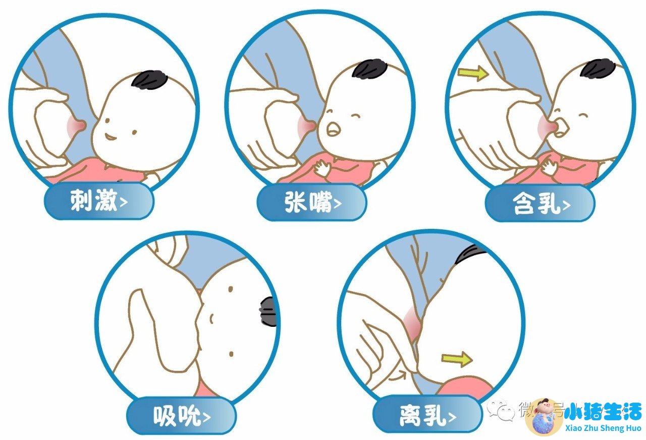 母乳不足的原因分析