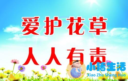 爱护花草的宣传语