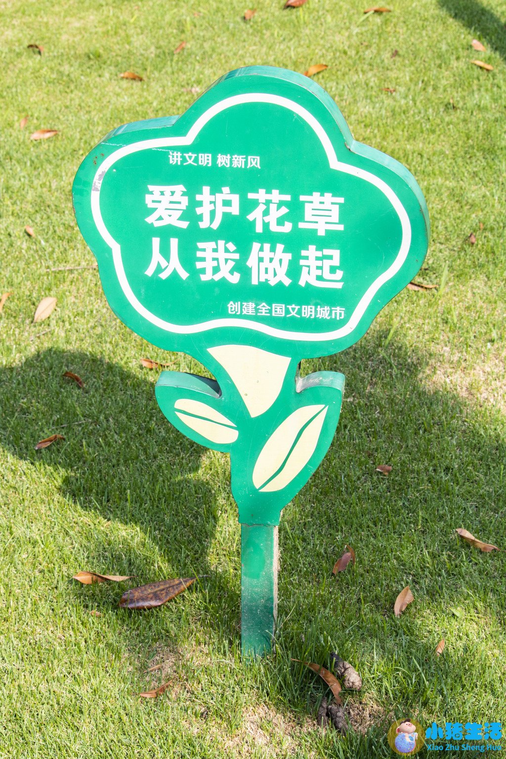 爱护花草的宣传语
