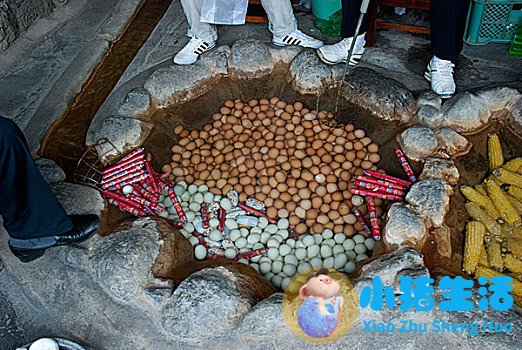 旅游卫视有多远走多远长白山温泉是哪家