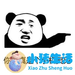 白领 健康饮食