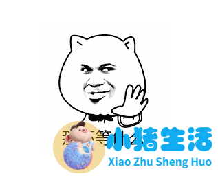 白领 健康饮食