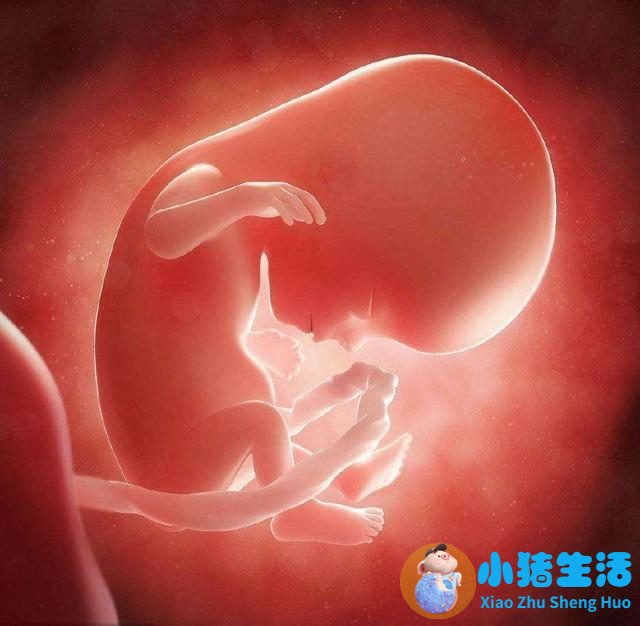 女性养生每天八个一