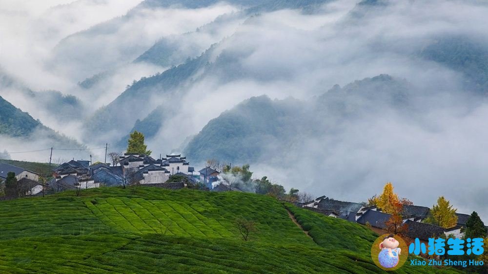 宏村旅游攻略