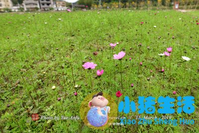唐山市内旅游景点大全